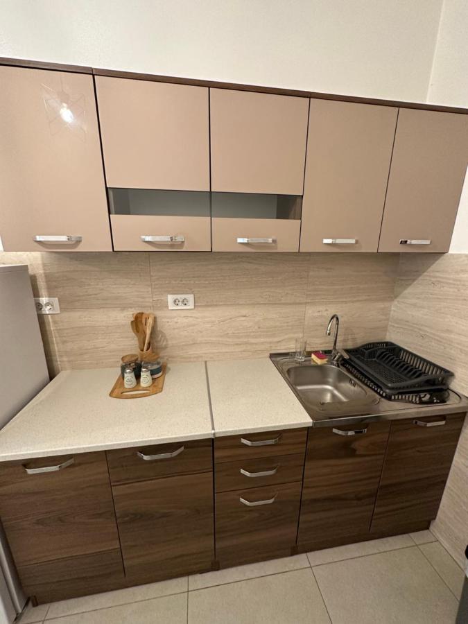 Irina Centre Apartment Podgorica Exteriér fotografie
